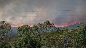 The fire at Upton Heath