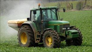 Tractor spreads fertilizer on a crop of sugar beet