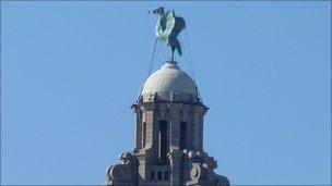 Liver Building