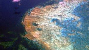 The Great Barrier Reef, file pic