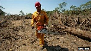 A worker with a chainsaw on the route of the controversial road in Bolivia.