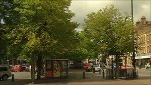 Trees in Salisbury's Market Place