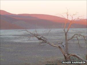 Namibian landscape