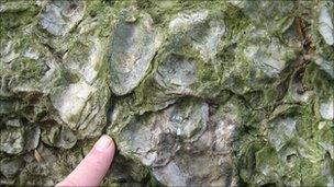 Close-up of boulder at Oxburgh Hall