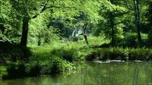 Heligan's Lost Valley