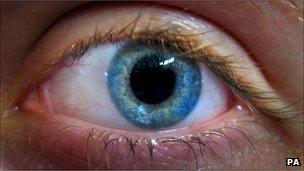 Human eye