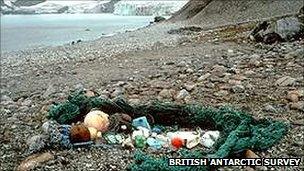 Marine litter