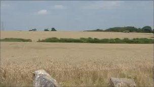 Fields where Elephant Eden will be built