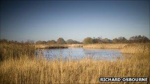 Hickling Broad