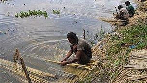 Jute being soaked