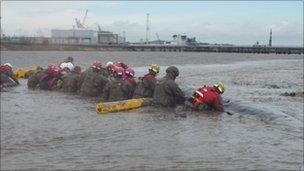 Rescue operation of stranded whale