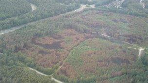 Swinley Forest from the air