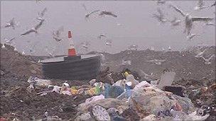 Landfill in Cardiff