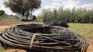 Drip irrigation tubing waiting to be laid