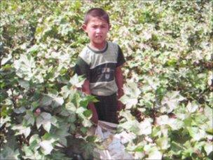 Image of child working in cotton field in Uzbekistan