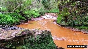 Saltburn Gill