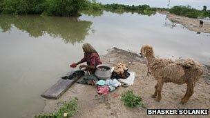 People and animals in the area use the same contaminated water