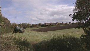 Tractor in a field