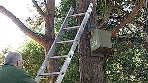 Squirrel box