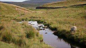 Yorkshire Dales