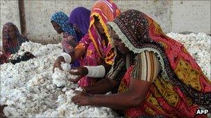 Cotton workers in Pakistan