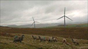 Wind turbines and sheep