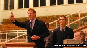 Auctioneer at Tattersalls