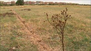 Field where the cable was brought down