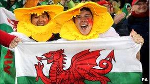 Wales rugby fan