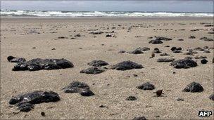 Globules of oil on Mount Maunganui beach, New Zealand (10 Oct 2011)