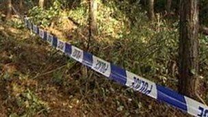 Woodland where body was found in 1991