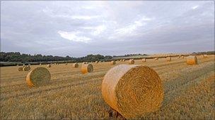 Countryside farm