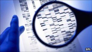 Generic image of a DNA autoradiogram