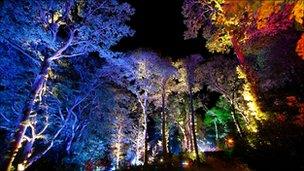 The Enchanted Forest Pitlochry