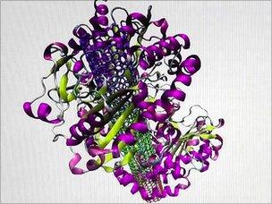 Computer model of nanotube and enzymes