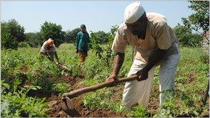 Shantaram Tukaram Katke in his farm.