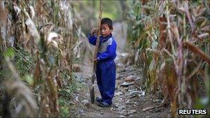 A North Korean boy holds a spade in a cornfield damaged by recent floods and typhoons, in the Soksa-Ri collective farm, South Hwanghae province on 29 September 2011. The photo was taken on a government-controlled tour