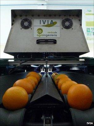 Oranges