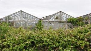 Derelict greenhouses