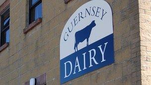 Guernsey Dairy