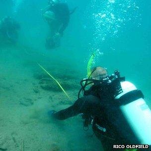 Divers at the site in Panama