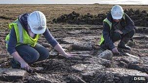 Archaeologists at cairn site. Pic: DSRL