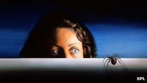 Woman afraid of a spider