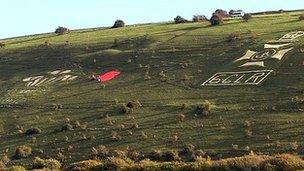 Giant Poppy in Wiltshire