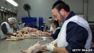 Orthodox Jewish rabbis clean slaughtered chickens at a Jerusalem poultry factory (archive image from 2006)