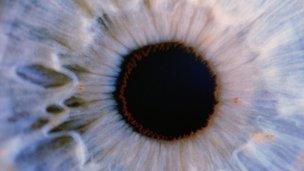 Close-up of human eye
