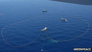 Purse seine fishing