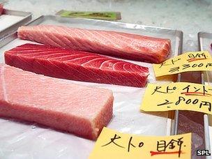 Tuna on sale