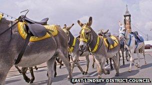 Donkeys in Skegness