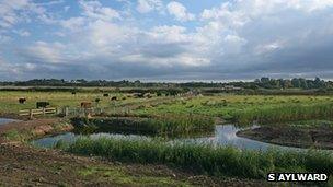 Oulton Marshes